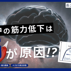 筋の生理学と適応的可塑性：長さ-張力関係の動的解釈とハンドリングの理論的根拠