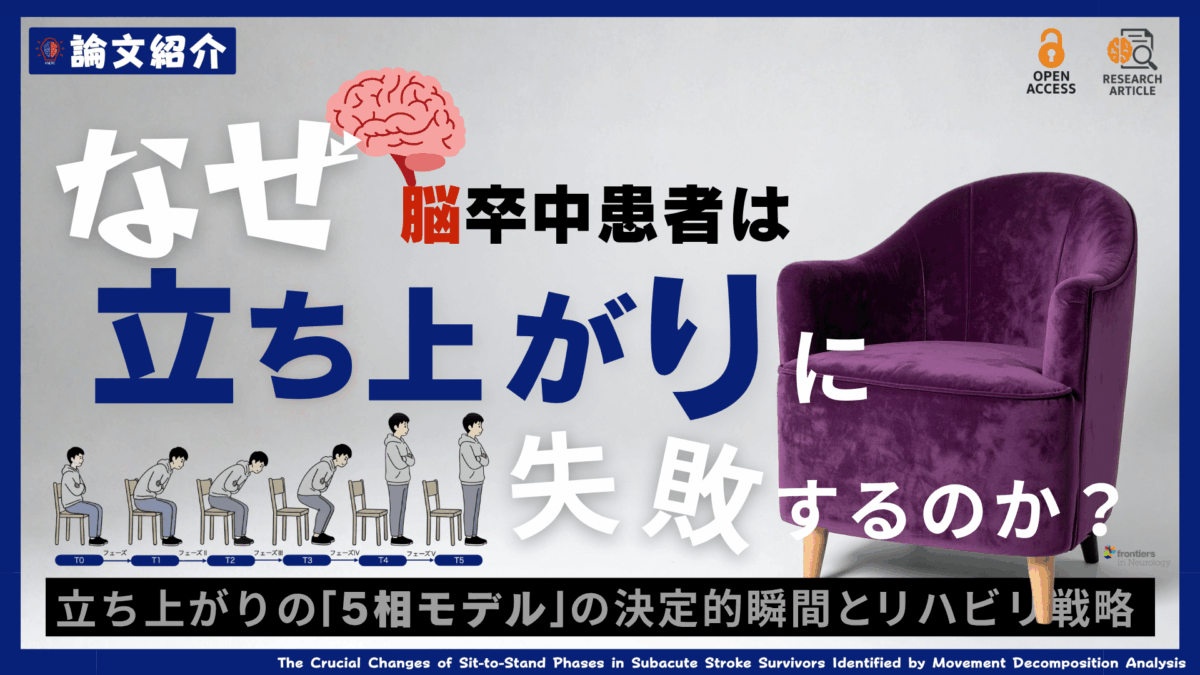なぜ脳卒中患者は立ち上がりに失敗するのか？立ち上がり「5相モデル